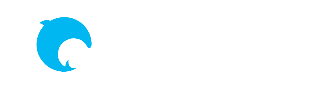 Raiyansoft logo